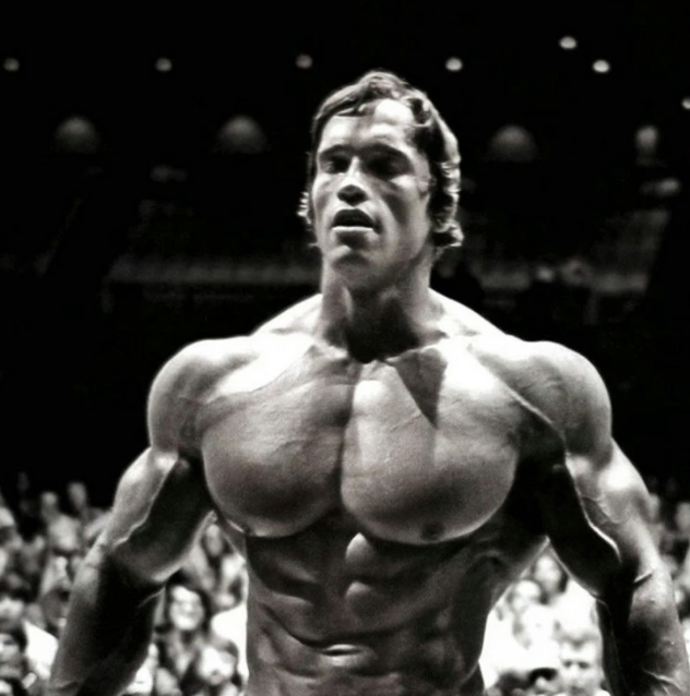 Arnold Schwarzenegger - TranSynk